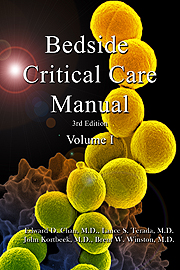 Bedside Critical Care Manual